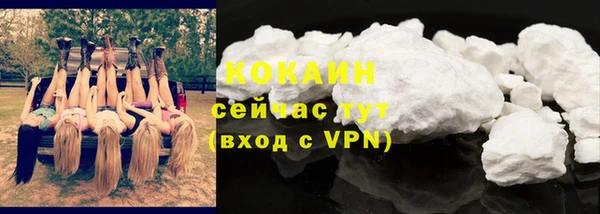 mdpv Богородск