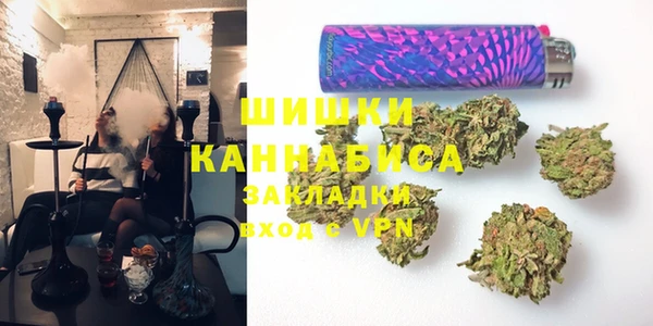 mdpv Богородск