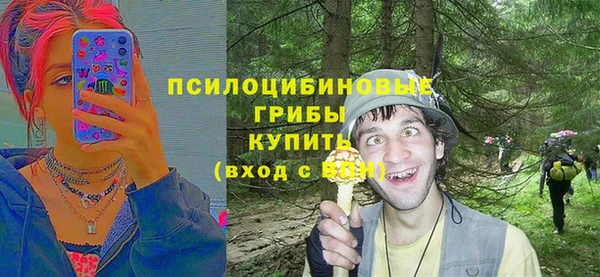 спиды Надым