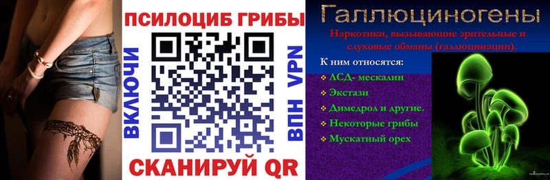 Галлюциногенные грибы Psilocybine cubensis  Дубна 